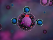 White Paper: In-Line Monitoring of Culture Medium Using Live Cell Metabolic Analyzer