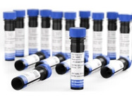 BD Horizon RealYellow™ and BD Horizon RealBlue™ Reagents