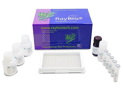Back to School Sale: 25% off all RayBiotech ELISA Kits