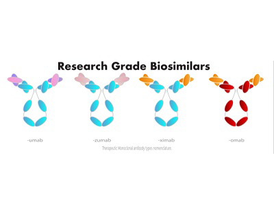 Research Grade Biosimilars from USBio