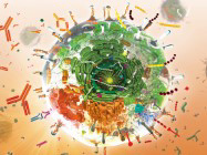 Custom Stable Cell Line Generation