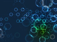 Harnessing the Power of Reporter iPSCs to Illuminate Cellular Pathways and Functions