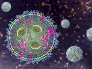 Best Practices for Analysis of In Vitro Transcribed mRNA