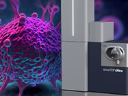 Make every cell count for your Immunopeptidomics research
