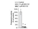 Assay Kit to Measure Proteasome Activity From Promega