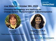 Choosing the Strategy and Methods for Charge Variant Characterization in Biotherapeutics