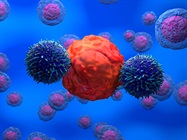 Optimization and Functional Characterization of CAR T and CAR NK Cells