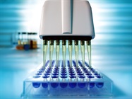 Infographic: High-Throughput Screening: RNAi or CRISPR-Cas9?