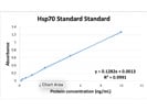 Best HSP70 ELISA Kit Available in the Market