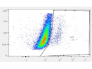 Average Calreticulin Monoclonal  Antibody From Enzo