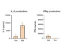 Good, But Pricey Antibody From R&D Systems
