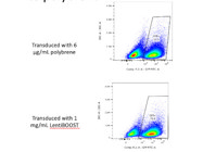 Best Lentiviral Transduction Reagent Available on the Market From SIRION Biotech