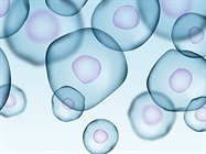 Aspects to Consider When Searching for a CO2 Incubator