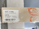 Reliable E. coli Competent Cells From New England BioLabs