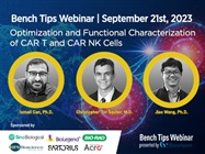 Optimization and Functional Characterization of CAR T and CAR NK Cells