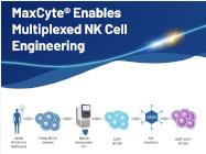Maxcyte® Enables Multiplexed NK Cell Engineering