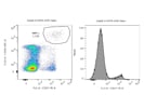 Good Anti-Human CD27PE From Miltenyi Biotec