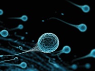 Single-Cell Sequencing in Modern Research