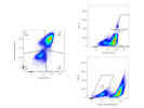 Solid Alternative to Annexin V for Apoptotic Staining From BioLegend