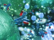 Membrane Proteins Screening Array AB5000