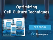 Optimizing Cell Culture Techniques