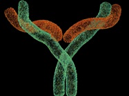 Synthetic Nanodisc—A Promising Solution for “Undruggable” Membrane Proteins