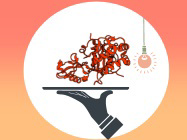 Custom Proteins Tailored to Your Needs