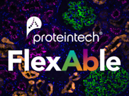 FlexAble CoraLite® and CoraLite® Plus Antibody Labeling Kits