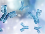 How Can ZooMAb Recombinant Antibodies Benefit Your Research?
