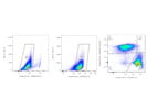 Antibody From BioLegend Consistently Provides Reliable Activation of T Cells