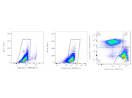 Antibody From BioLegend Consistently Provides Reliable Activation of T Cells