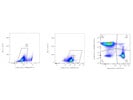 Dynabeads From  Gibco™ Works as it is Intended to but Requires Optimization