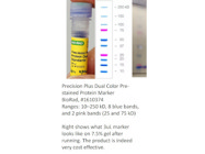 Cost Effective Prestained Protein Marker From  Bio-Rad
