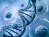 Disease State Primary Cells Bring Verification and Validation Studies Closer to Real-World Results