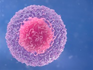 Isolation of Tumor-Infiltrating Lymphocytes From Dissociated Tumor Cells