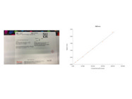 Superb BCA Protein Assay Kit From Thermo Fisher