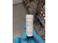 Great Prototypic Kainate Receptor Agonist From Abcam