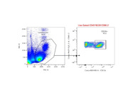 Excellent Anti-Mouse CD11b Flow Cytometry Antibody From BD Biosciences