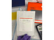 Acridine Orange From Logos Stains Well