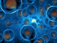 Upstream Manufacturing for Cell and Cell-based Gene Therapies