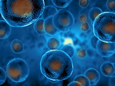 Upstream Manufacturing for Cell and Cell-based Gene Therapies