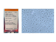 Excellent Media From Corning for Cell Culture