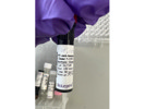 Anti-Human CD56 Antibody From BioLegend Has Exceptional Signal