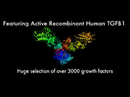 Active Cytokines-TGFBl from USBio