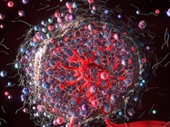 Spatial Biology: Understanding the Nuances for Cancer and CNS Applications
