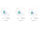Decent Anti-CD127 Antibody From BioLegend for the Flow Cytometric Detection of Memory T Cells