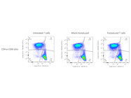 Anti-Human CD8 Antibody From BioLegend Works as Expected Giving High Quality Results