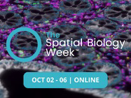 Navigating the brain architecture with spatial cell profiling – Register now