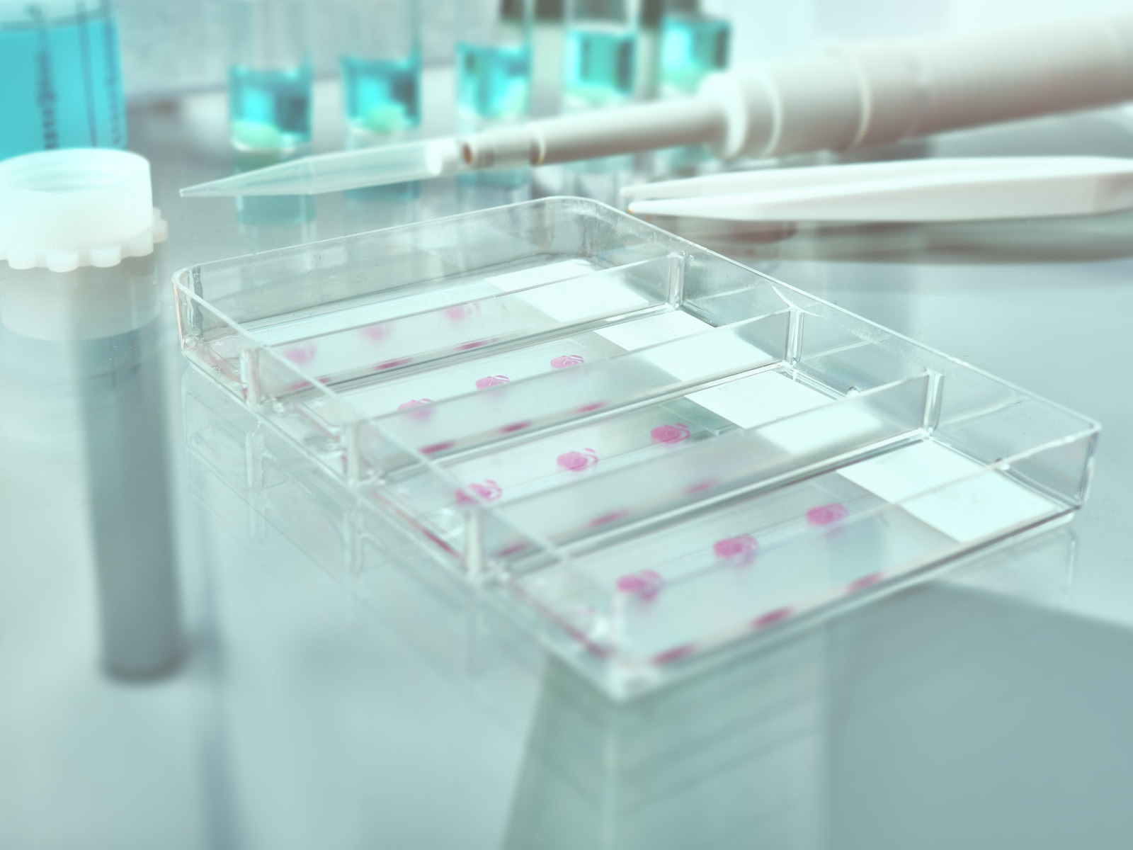  Robust Results for scRNA-seq from Matched FFPE and Freshly Fixed Samples