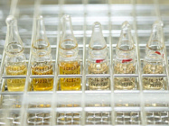 JCRB cell lines from FUJIFILM Wako